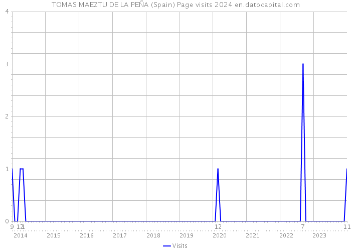TOMAS MAEZTU DE LA PEÑA (Spain) Page visits 2024 