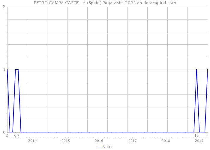 PEDRO CAMPA CASTELLA (Spain) Page visits 2024 