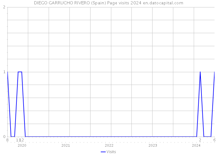 DIEGO GARRUCHO RIVERO (Spain) Page visits 2024 