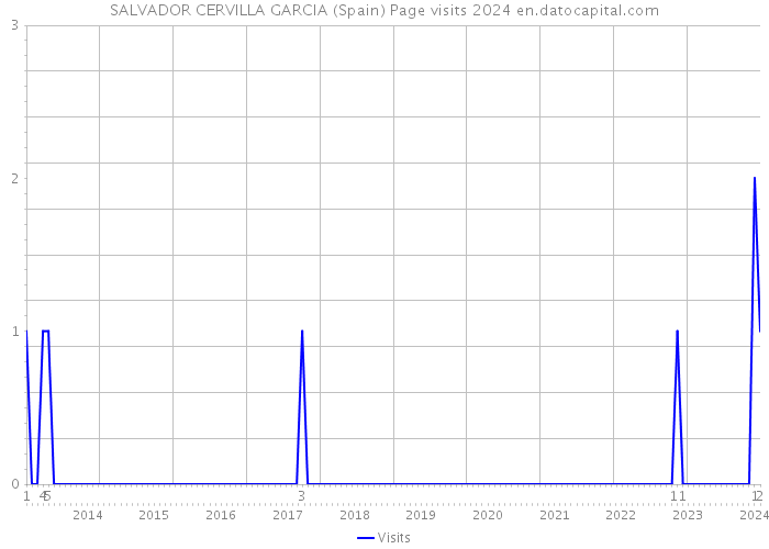 SALVADOR CERVILLA GARCIA (Spain) Page visits 2024 