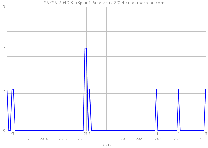 SAYSA 2040 SL (Spain) Page visits 2024 