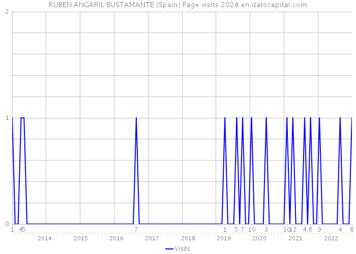 RUBEN ANGARIL BUSTAMANTE (Spain) Page visits 2024 