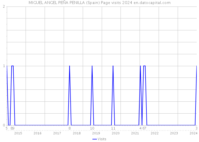 MIGUEL ANGEL PEÑA PENILLA (Spain) Page visits 2024 