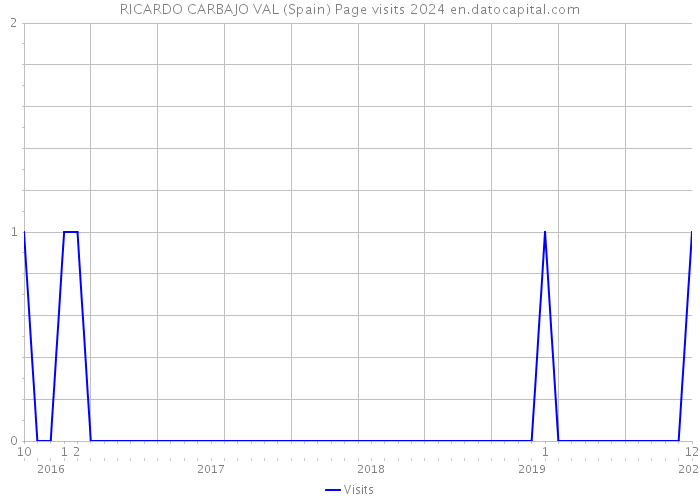 RICARDO CARBAJO VAL (Spain) Page visits 2024 