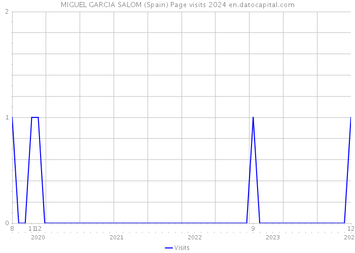 MIGUEL GARCIA SALOM (Spain) Page visits 2024 