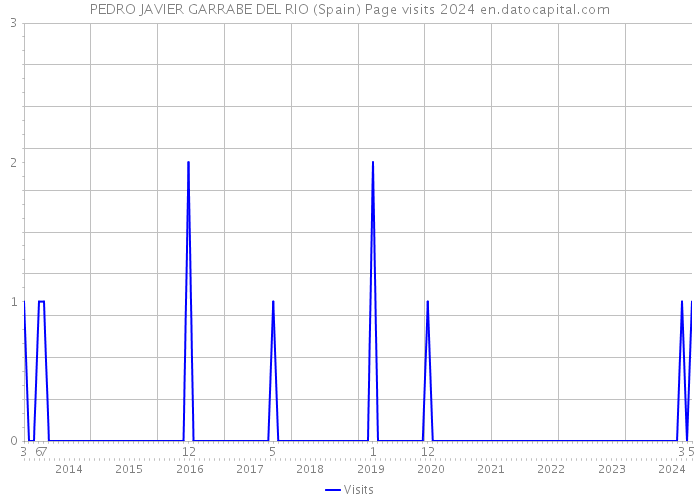 PEDRO JAVIER GARRABE DEL RIO (Spain) Page visits 2024 