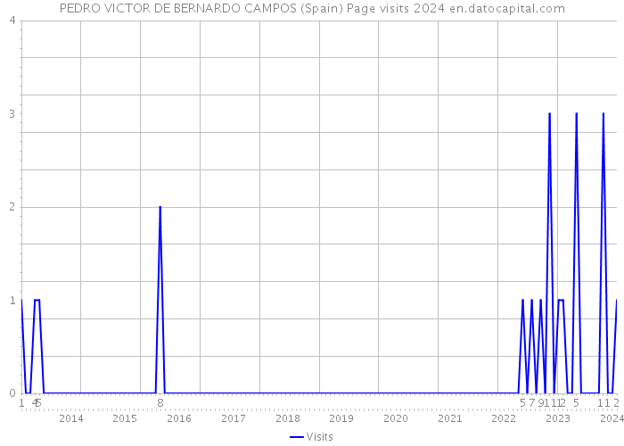 PEDRO VICTOR DE BERNARDO CAMPOS (Spain) Page visits 2024 
