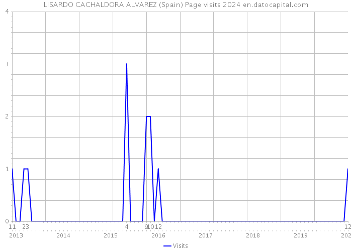 LISARDO CACHALDORA ALVAREZ (Spain) Page visits 2024 