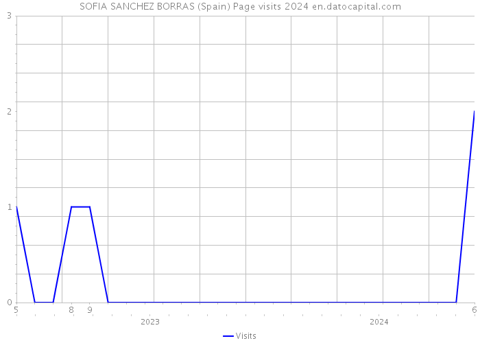 SOFIA SANCHEZ BORRAS (Spain) Page visits 2024 