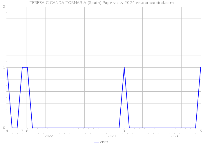 TERESA CIGANDA TORNARIA (Spain) Page visits 2024 