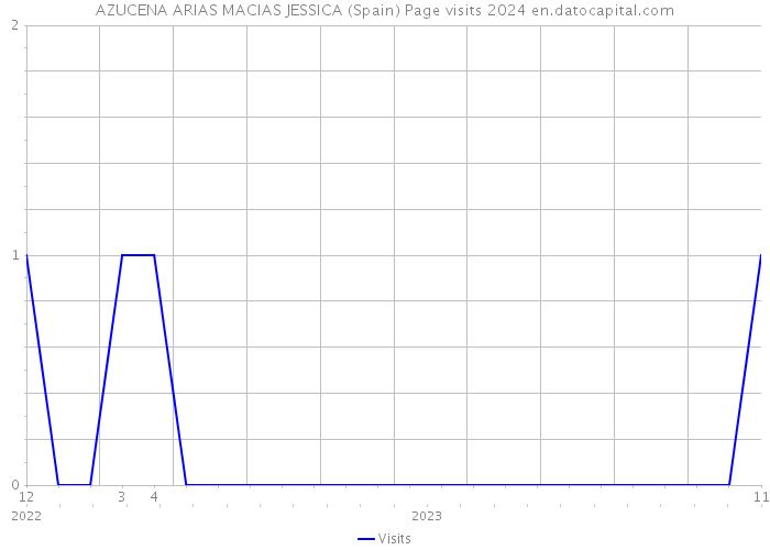 AZUCENA ARIAS MACIAS JESSICA (Spain) Page visits 2024 