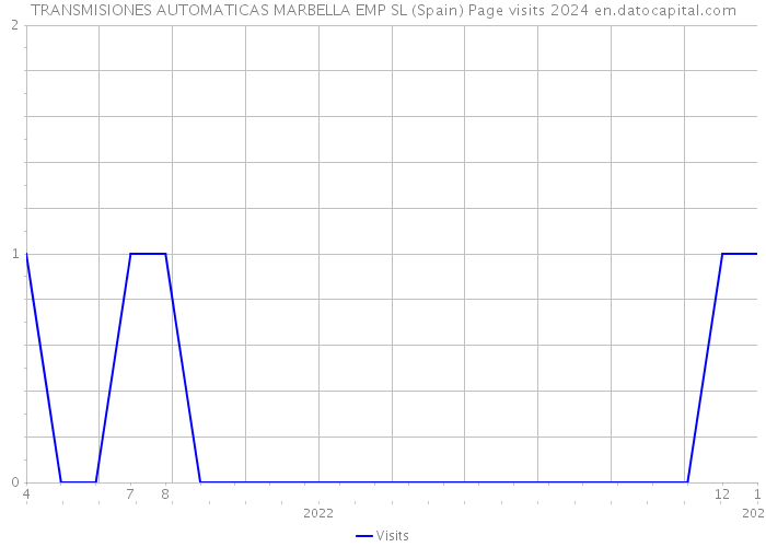 TRANSMISIONES AUTOMATICAS MARBELLA EMP SL (Spain) Page visits 2024 
