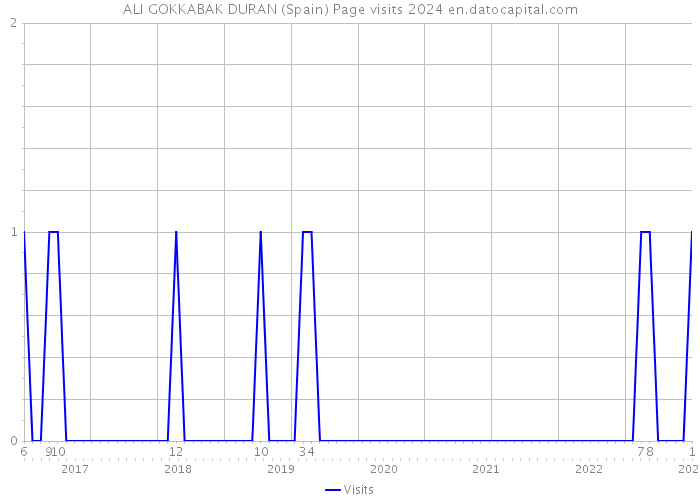 ALI GOKKABAK DURAN (Spain) Page visits 2024 