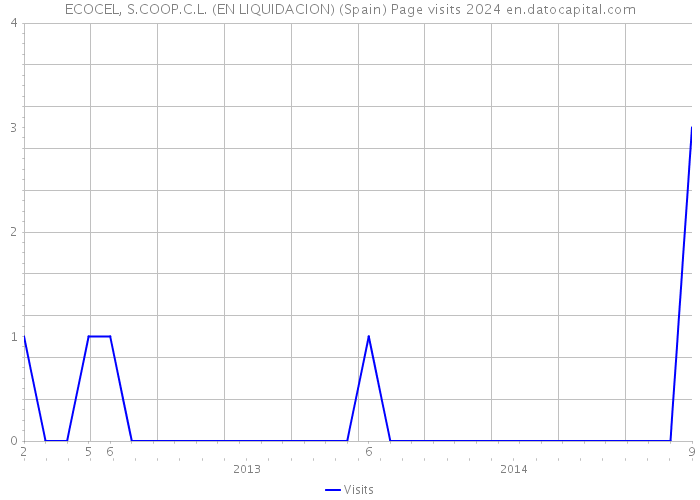 ECOCEL, S.COOP.C.L. (EN LIQUIDACION) (Spain) Page visits 2024 