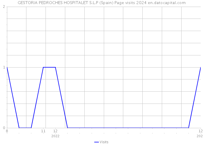 GESTORIA PEDROCHES HOSPITALET S.L.P (Spain) Page visits 2024 