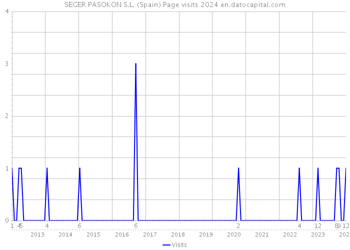 SEGER PASOKON S.L. (Spain) Page visits 2024 