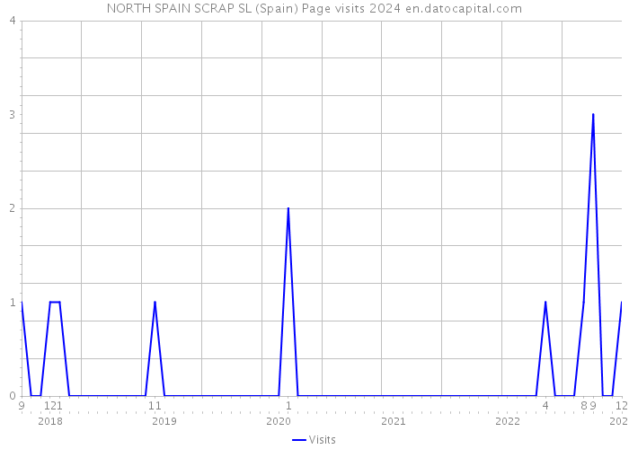 NORTH SPAIN SCRAP SL (Spain) Page visits 2024 