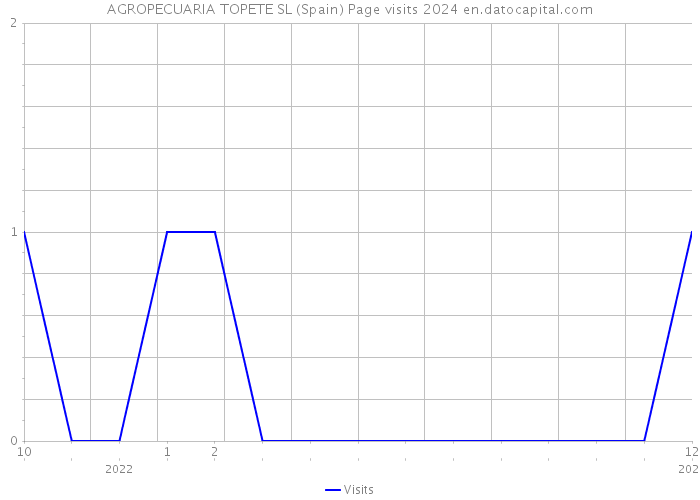 AGROPECUARIA TOPETE SL (Spain) Page visits 2024 