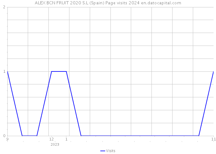 ALEX BCN FRUIT 2020 S.L (Spain) Page visits 2024 