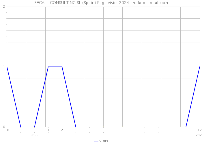 SECALL CONSULTING SL (Spain) Page visits 2024 