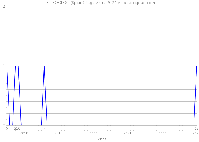 TFT FOOD SL (Spain) Page visits 2024 