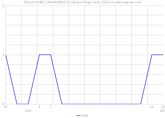 SOLUCIONES GANADORAS SL (Spain) Page visits 2024 