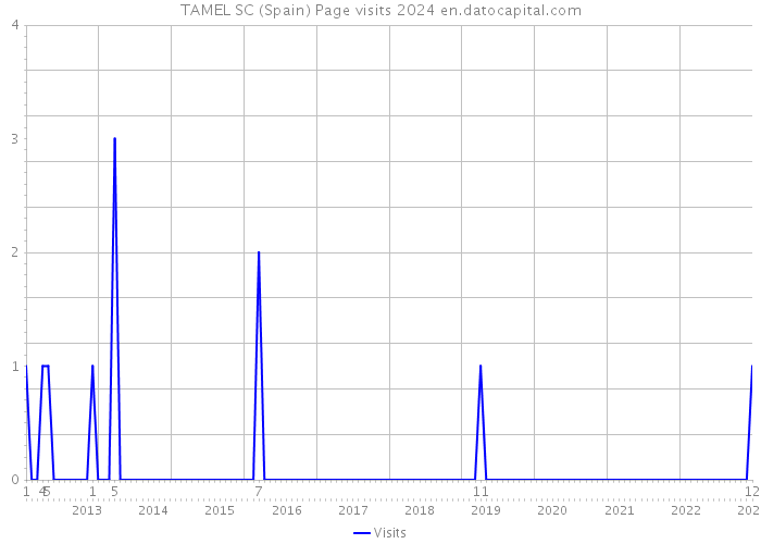 TAMEL SC (Spain) Page visits 2024 