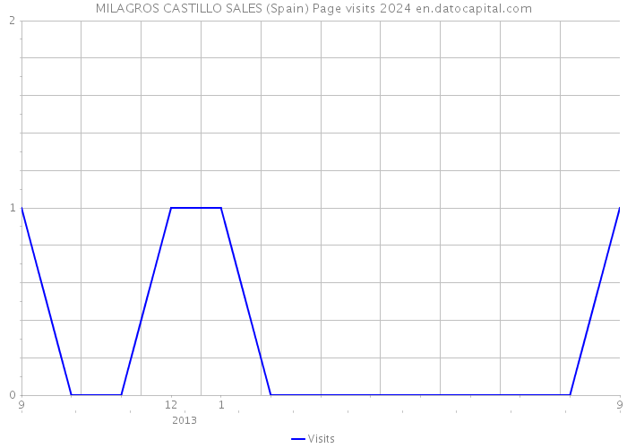 MILAGROS CASTILLO SALES (Spain) Page visits 2024 