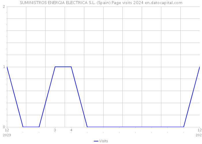 SUMINISTROS ENERGIA ELECTRICA S.L. (Spain) Page visits 2024 