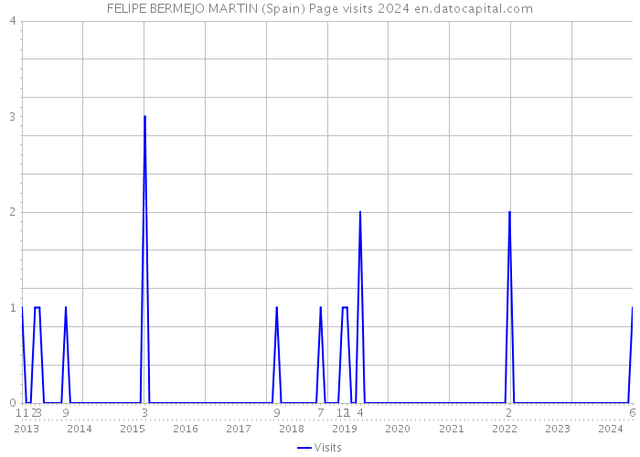 FELIPE BERMEJO MARTIN (Spain) Page visits 2024 