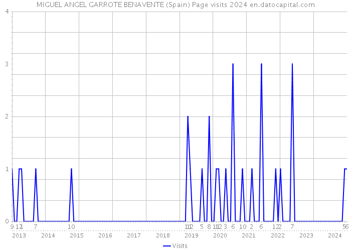 MIGUEL ANGEL GARROTE BENAVENTE (Spain) Page visits 2024 