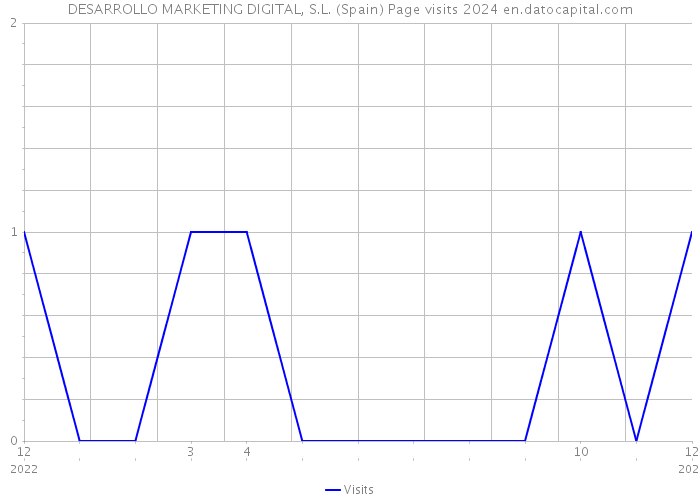 DESARROLLO MARKETING DIGITAL, S.L. (Spain) Page visits 2024 