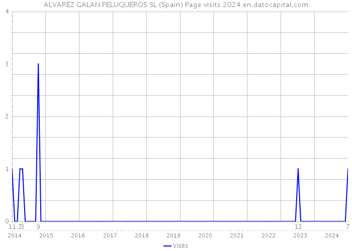 ALVAREZ GALAN PELUQUEROS SL (Spain) Page visits 2024 