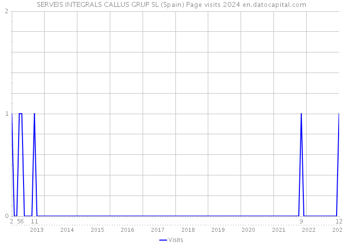 SERVEIS INTEGRALS CALLUS GRUP SL (Spain) Page visits 2024 