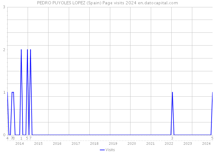 PEDRO PUYOLES LOPEZ (Spain) Page visits 2024 