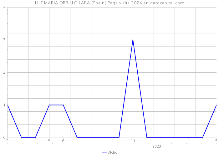 LUZ MARIA ORRILLO LARA (Spain) Page visits 2024 