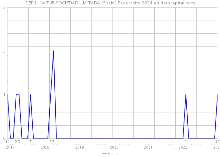 DEPIL-NATUR SOCIEDAD LIMITADA (Spain) Page visits 2024 