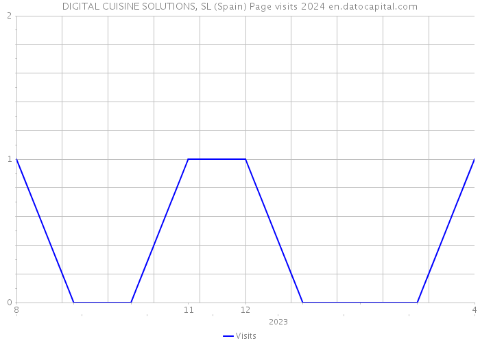 DIGITAL CUISINE SOLUTIONS, SL (Spain) Page visits 2024 