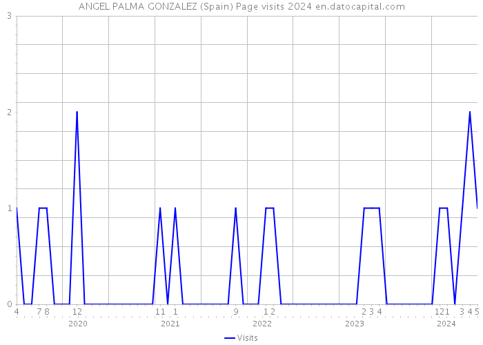 ANGEL PALMA GONZALEZ (Spain) Page visits 2024 