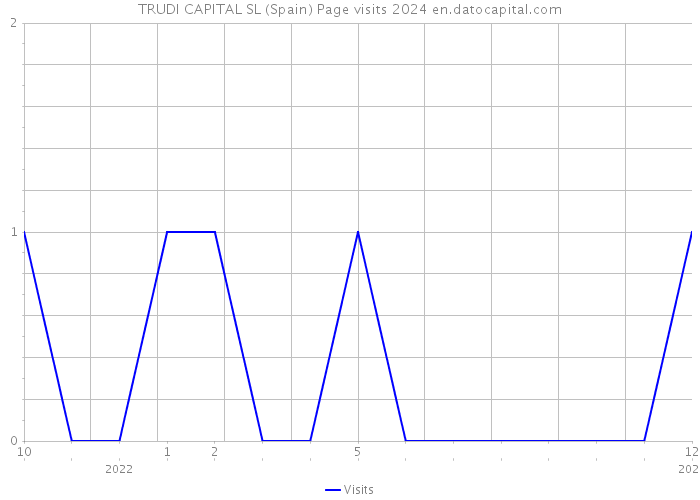 TRUDI CAPITAL SL (Spain) Page visits 2024 