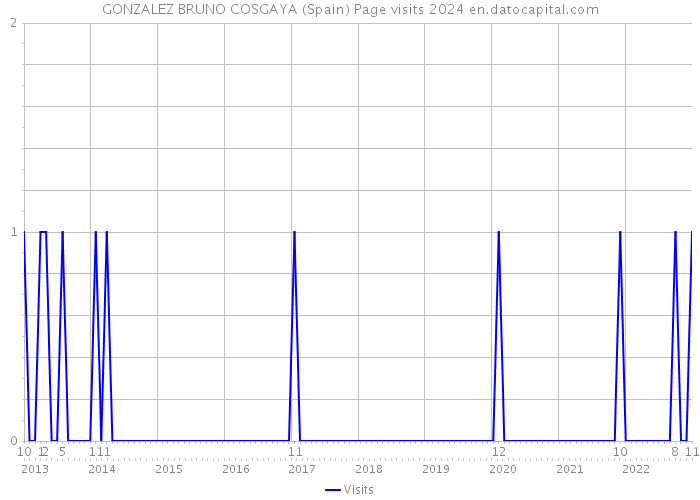 GONZALEZ BRUNO COSGAYA (Spain) Page visits 2024 