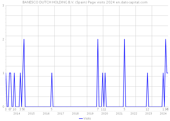 BANESCO DUTCH HOLDING B.V. (Spain) Page visits 2024 