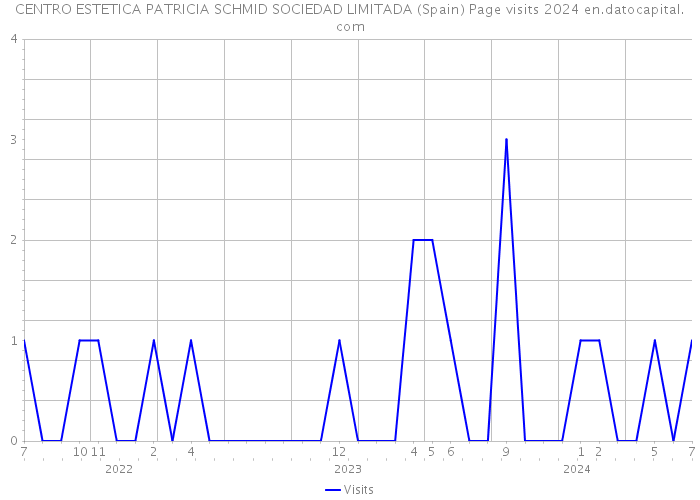 CENTRO ESTETICA PATRICIA SCHMID SOCIEDAD LIMITADA (Spain) Page visits 2024 