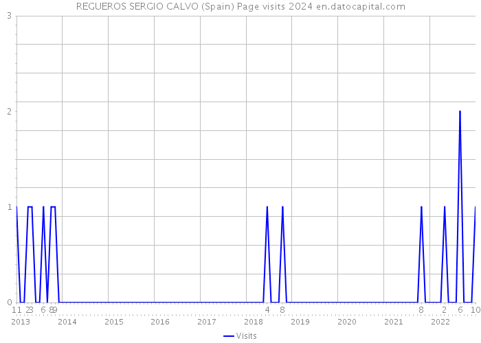 REGUEROS SERGIO CALVO (Spain) Page visits 2024 