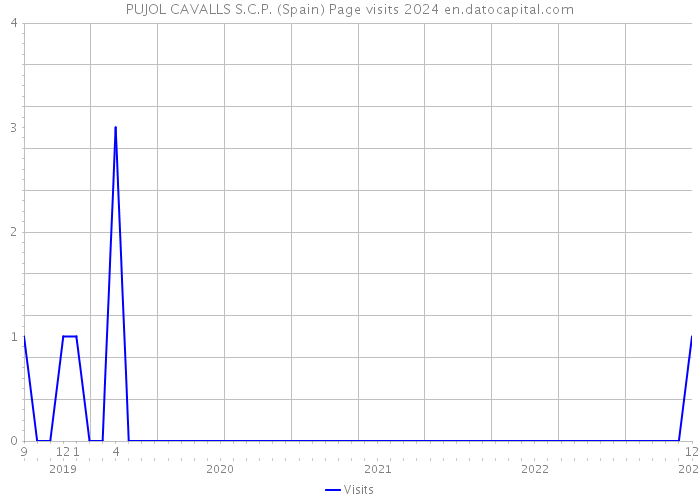 PUJOL CAVALLS S.C.P. (Spain) Page visits 2024 