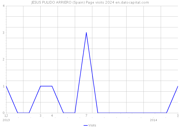 JESUS PULIDO ARRIERO (Spain) Page visits 2024 