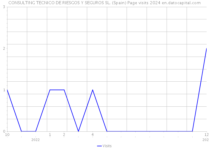 CONSULTING TECNICO DE RIESGOS Y SEGUROS SL. (Spain) Page visits 2024 