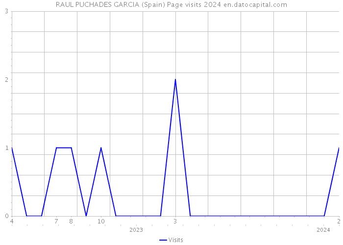 RAUL PUCHADES GARCIA (Spain) Page visits 2024 