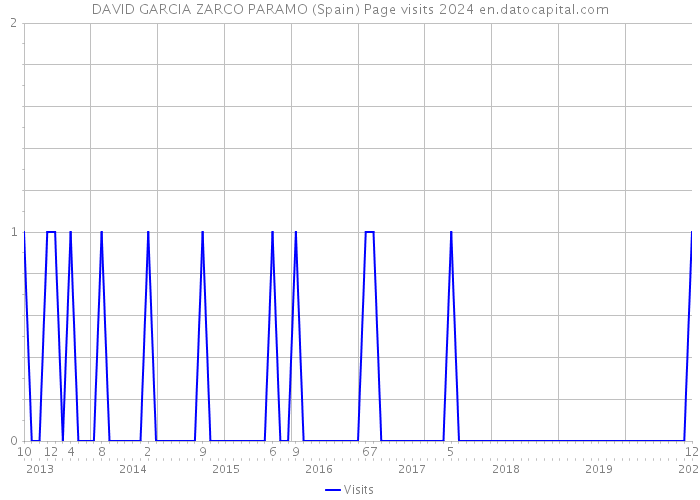 DAVID GARCIA ZARCO PARAMO (Spain) Page visits 2024 
