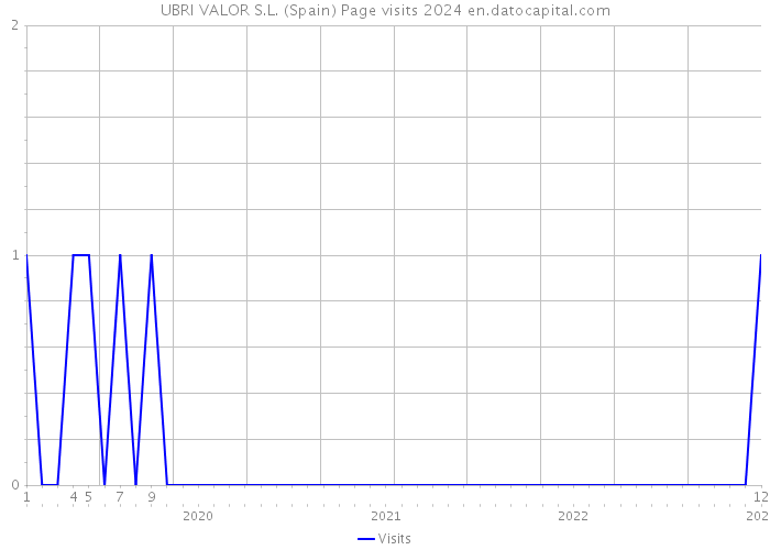 UBRI VALOR S.L. (Spain) Page visits 2024 